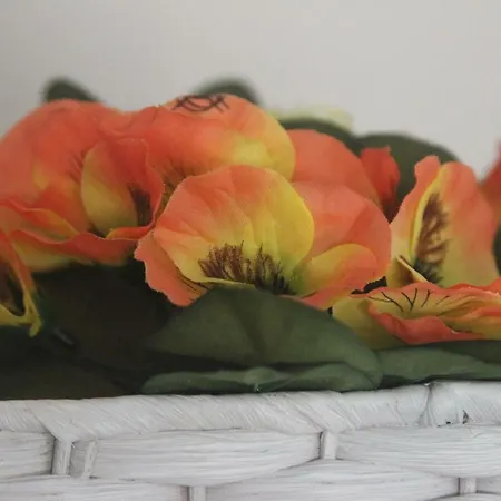 Anna - Maria Appartement Albufeira