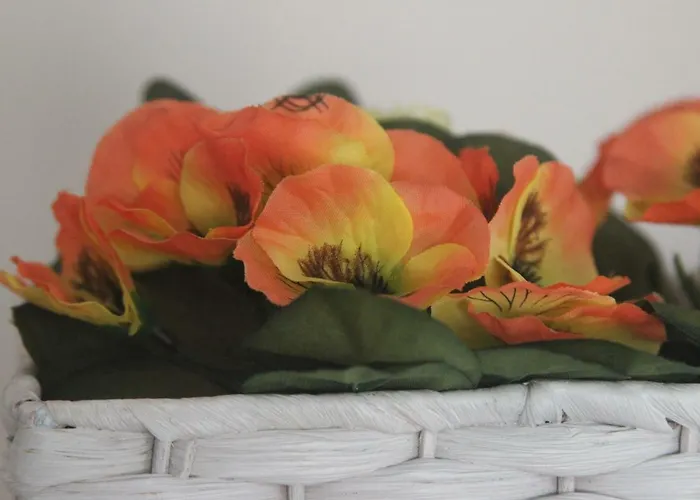 Anna - Maria شقة البوفيرا